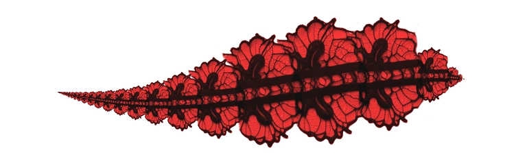 Lace Border 2D brush preview 1